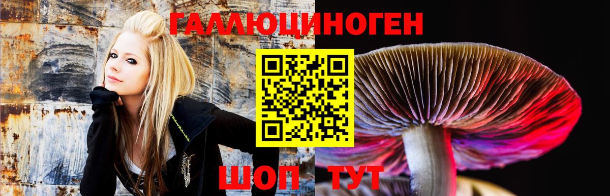 Галлюциногенные грибы ЛСД Добрянка